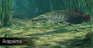 Ultimate Fishing Simulator - Amazon River DLC