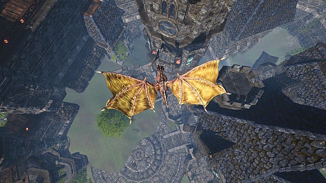 Knight Jones and Dragons Fall