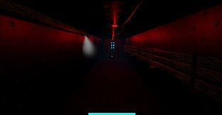 Subsurface