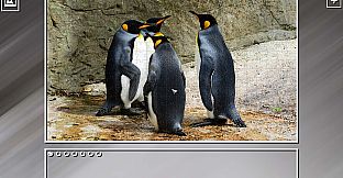 Super Jigsaw Puzzle: Generations - Random Animals Puzzles