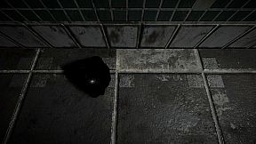 Backrooms: What's Next