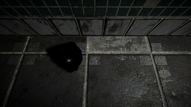 Backrooms: What's Next