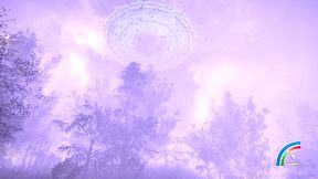 Hidden Treasures in the Forest of Dreams