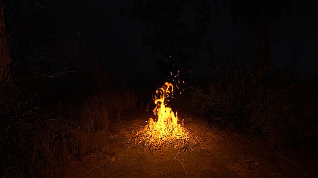 Đồng Cỏ Lau - The Reed Field
