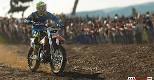 MXGP2 - Cairoli Replica Equipment