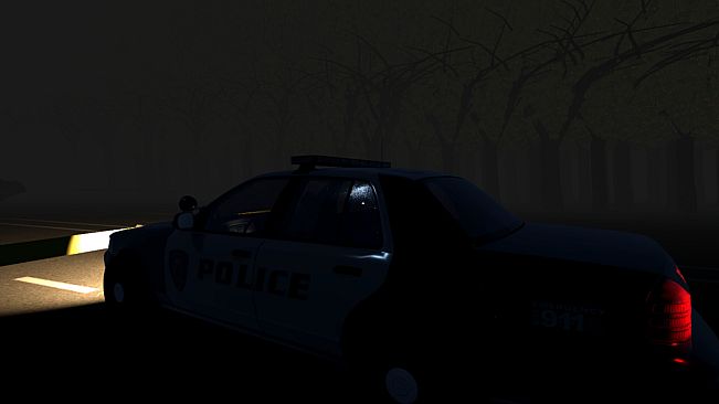 Traffic Stop Anomaly