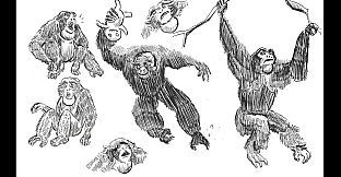 Sumatra: Fate of Yandi - Collector's Edition