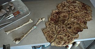 Alpha Polaris : A Horror Adventure Game