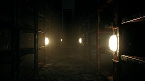 The Watcher In The Bright