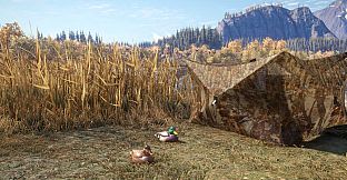 theHunter: Call of the Wild - Duck and Cover Pack