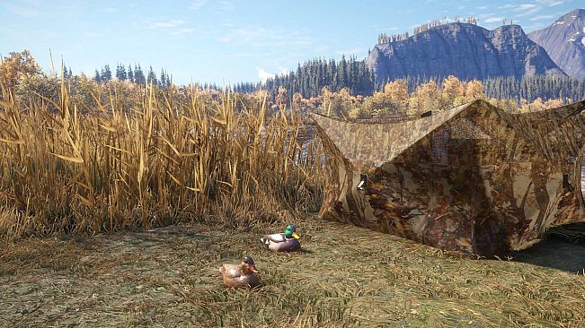 theHunter: Call of the Wild - Duck and Cover Pack