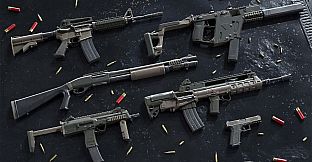 Insurgency: Sandstorm - Praetorian Set Bundle