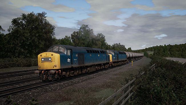 Train Sim World 4 Compatible: BR Heavy Freight Pack