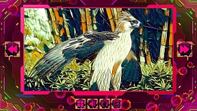 Twizzle Puzzle: Birds