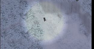 Winter Wraith
