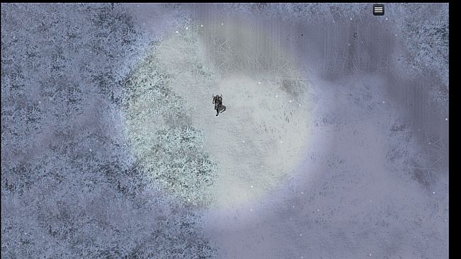 Winter Wraith