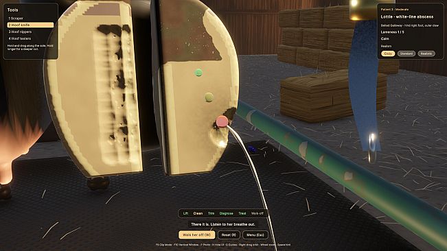 Hoof Trimmer Simulator