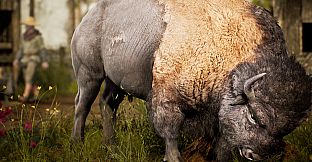 Medieval Builders: Strongholds & Castles