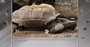 Super Jigsaw Puzzle: Generations - Reptiles