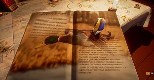 BULT: Hunting simulator