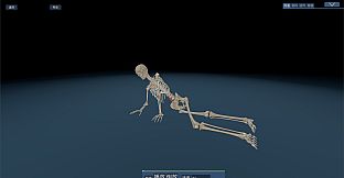 Kinetic Anatomy 3D - Advanced Animation Scenes Package
