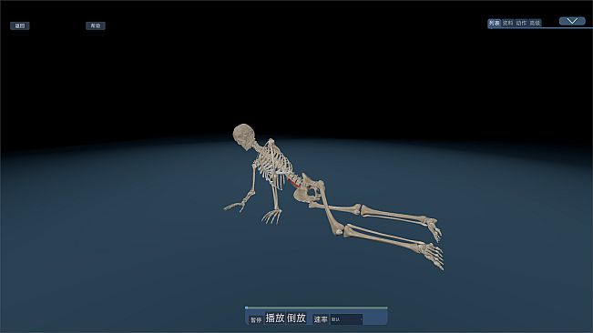 Kinetic Anatomy 3D - Advanced Animation Scenes Package