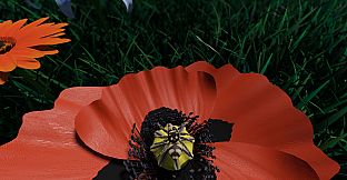 A little Jumpingspider's Garden Adventure (Day 1+2)