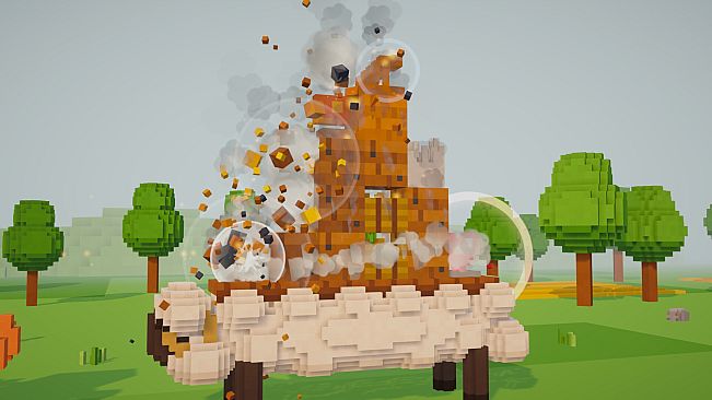 Castle Back
