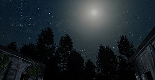 Darkness in the Forest