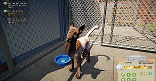 Animal Shelter: Prologue