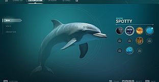 Echo: The dolphin story