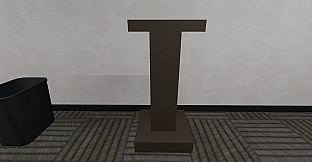 Lost Item