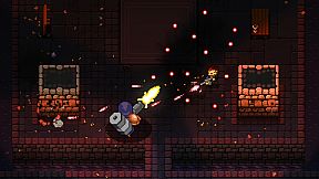 Enter the Gungeon