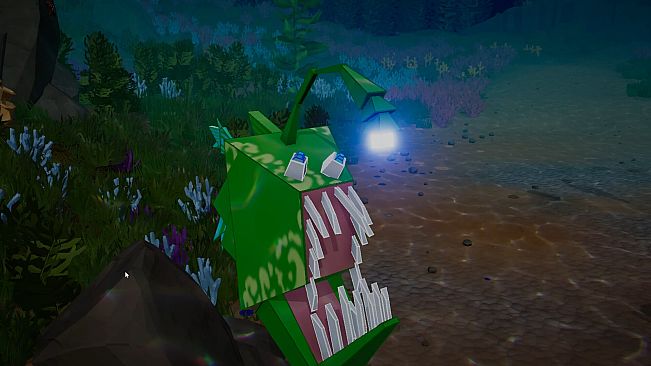 Creaturing - Sea Wonders