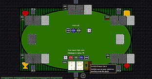 Definitely Not Poker