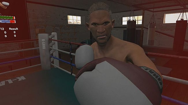 True Boxing VR