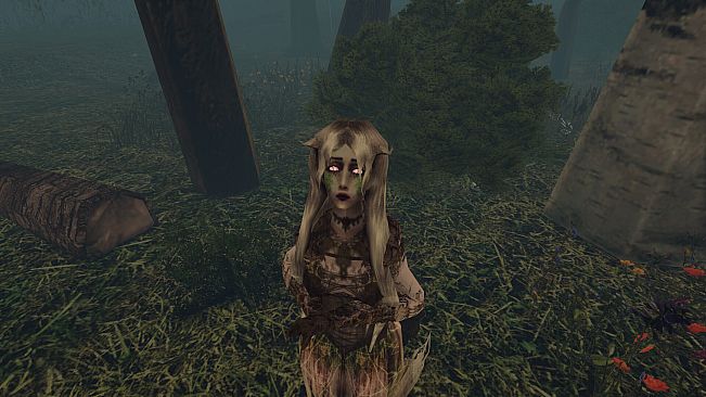 I Hear the Forest