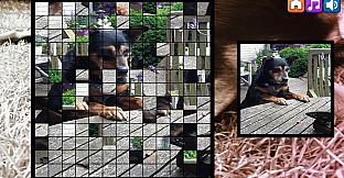 OG Puzzlers: Kira Maus