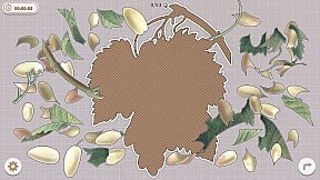 Plants Huddled Together