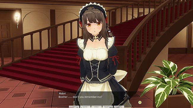 CUSTOM ORDER MAID 3D2 Sweet, Affectionate, and Devoted Long-lost Friend GP-01fb