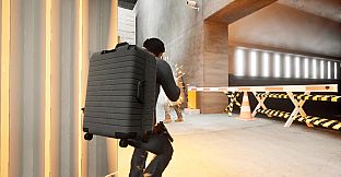 The Suitcase Agents