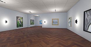 Infinite Galleries