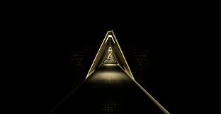 Paraplasm: Beyond the Veil