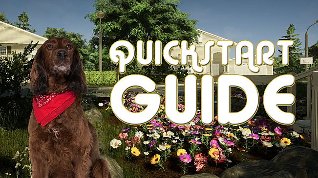 Animal Doctor - Digital Supporter Pack