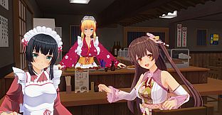 CUSTOM ORDER MAID 3D2 It's a Night Magic Shogatsu Gifts ALL in PACK