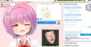 VTube Studio - NVIDIA Broadcast Tracker