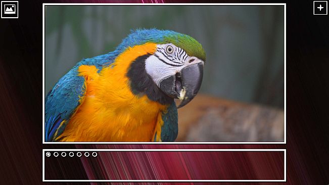 Super Jigsaw Puzzle: Generations - Birds Puzzles