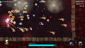 The Journey of Piggy