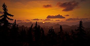 Fire Lookout: Abandoned Post
