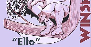 The Mystery Of Woolley Mountain - The Story PDF